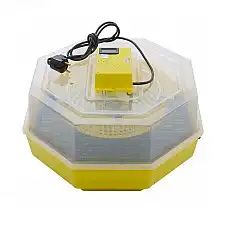 Инкубатор, CLEO, Термометр, Устройс..