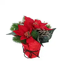 Цветок в коршке, GLOBAL CHRISTMAS, ..