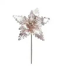 Рождественский цветок, GLOBAL CHRIS..