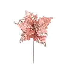 Рождественский цветок, GLOBAL CHRIS..