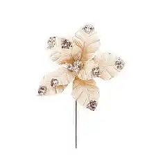 Рождественский цветок, GLOBAL CHRIS..