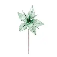 Рождественский цветок, GLOBAL CHRIS..