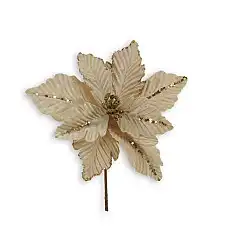 Рождественский цветок, GLOBAL CHRIS..