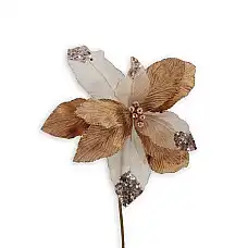 Рождественский цветок, GLOBAL CHRIS..