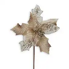 Рождественский цветок, GLOBAL CHRIS..