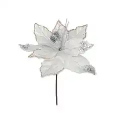 Рождественский цветок, GLOBAL CHRIS..