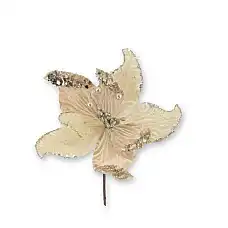 Рождественский цветок, GLOBAL CHRIS..