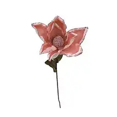 Цветок магнолии, PAULA, Магнолия, 7..