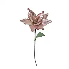 Рождественский цветок, PAULA, 72см..