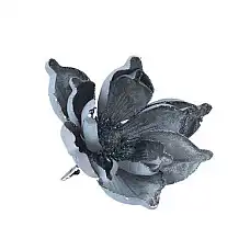 Цветок магнолии, PAULA, Магнолия, 2..