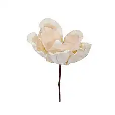 Цветок магнолии, PAULA, Магнолия, 2..