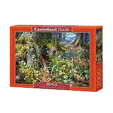 Puzzle 2000 elemente..