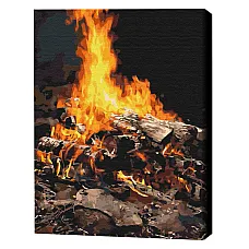 Pictură pe numere 40*50 сm (în cuti..