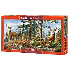 Puzzle 4000 elemente..