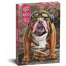 Puzzle 1000 elemente Drum bun!..