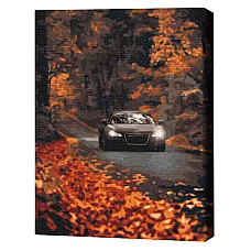Pictură pe numere 40*50 cm (în cuti..
