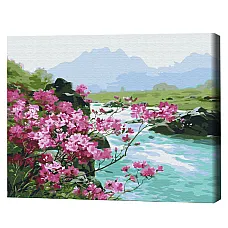 Pictură pe numere 40*50 сm (în cuti..
