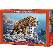 Puzzle 500 elemente..