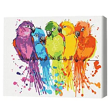 Pictură pe numere 40x50 cm (în cuti..