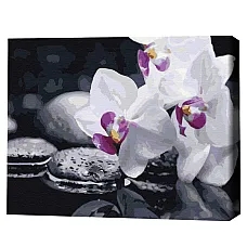 Pictură pe numere 40*50 сm (în cuti..