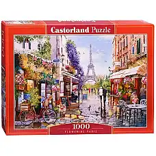 Puzzle 1000 elemente..