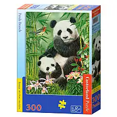 Puzzle 300 elemente..