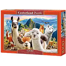 Puzzle 1000 elemente..