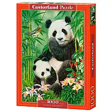 Puzzle 1000 elemente..