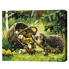 Pictură pe numere 40*50 cm (în cuti..