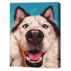Pictură pe numere 40*50 cm (în cuti..