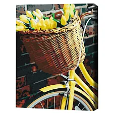 Pictură pe numere 40*50 сm (în cuti..