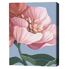 Картина по номерам 40*50 cм (в упак..