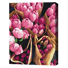 Pictură pe numere 40*50 сm (fără cu..