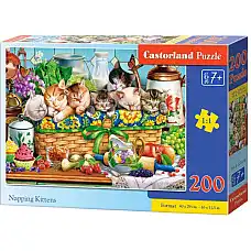 Puzzle 200 elemente..