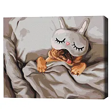 Pictură pe numere 40*50 cm (în cuti..