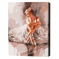 Pictură pe numere 40*50 cm (în cuti..