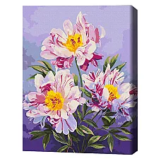 Pictură pe numere 40*50 сm (fără cu..