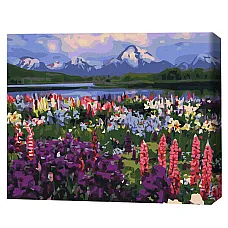 Pictură pe numere 40*50 сm (fără cu..