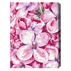 Pictură pe numere 40*50 cm (în cuti..
