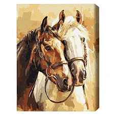 Pictură pe numere 40*50 cm (în cuti..