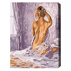 Pictură pe numere 40*50 cm (în cuti..