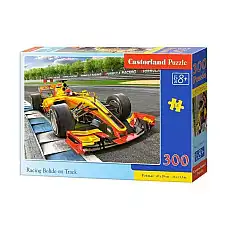 Puzzle 300 elemente..