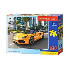 Puzzle 100 elemente..