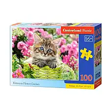 Puzzle 100 elemente..