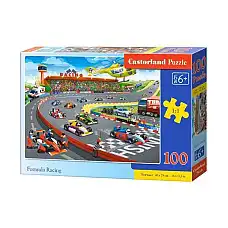 Puzzle 100 elemente..