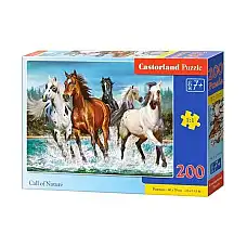Puzzle 200 elemente..