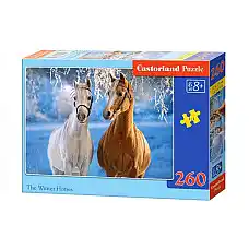 Puzzle 260 elemente..
