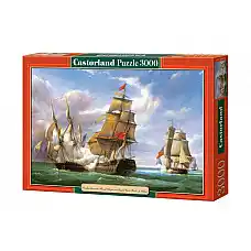 Puzzle 3000 elemente..