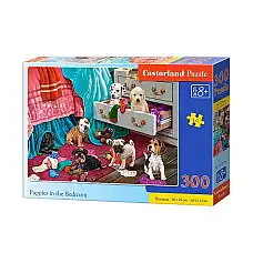 Puzzle 300 elemente..