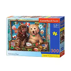 Puzzle 300 elemente..